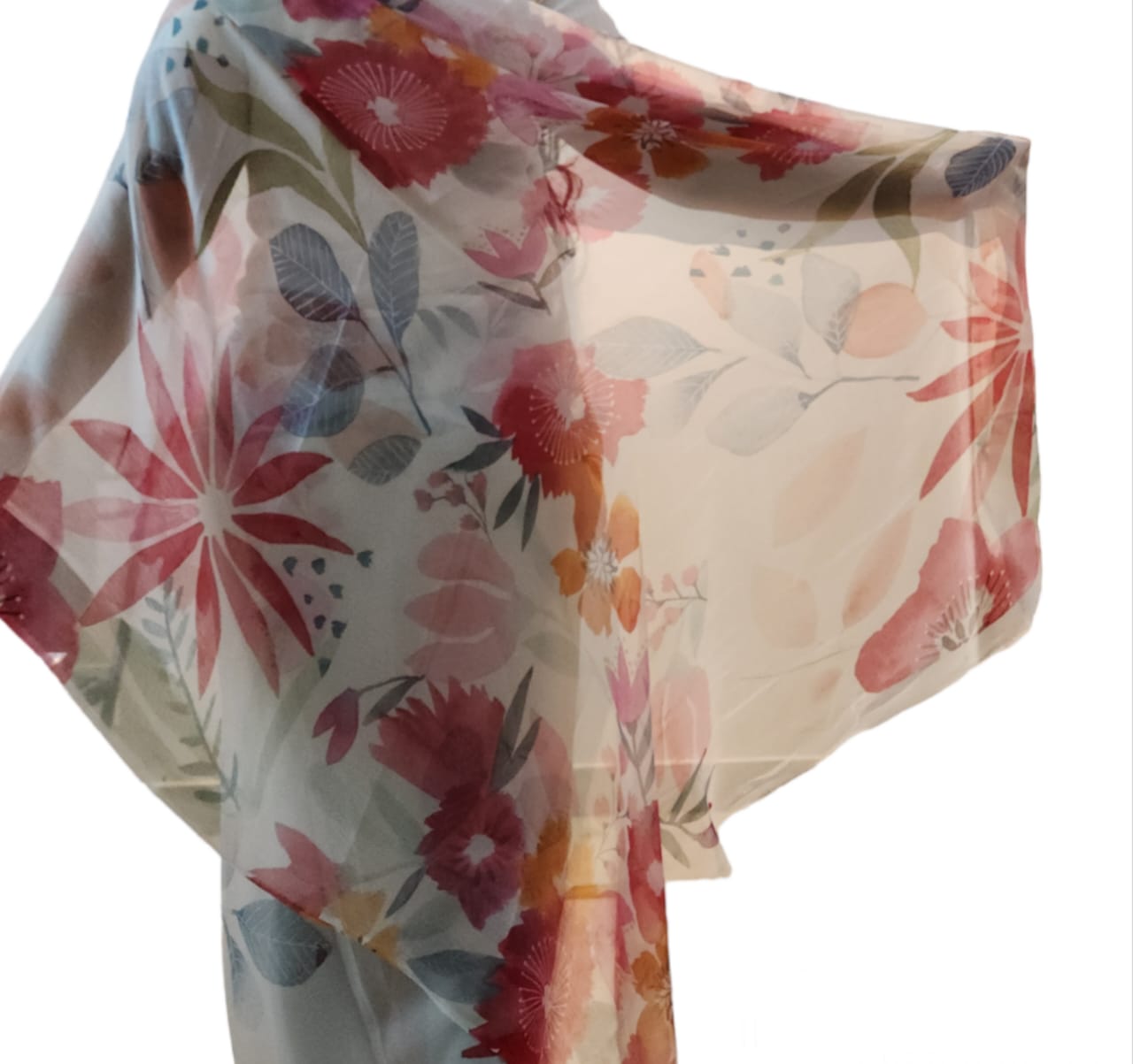 Colorful Chiffon Saree