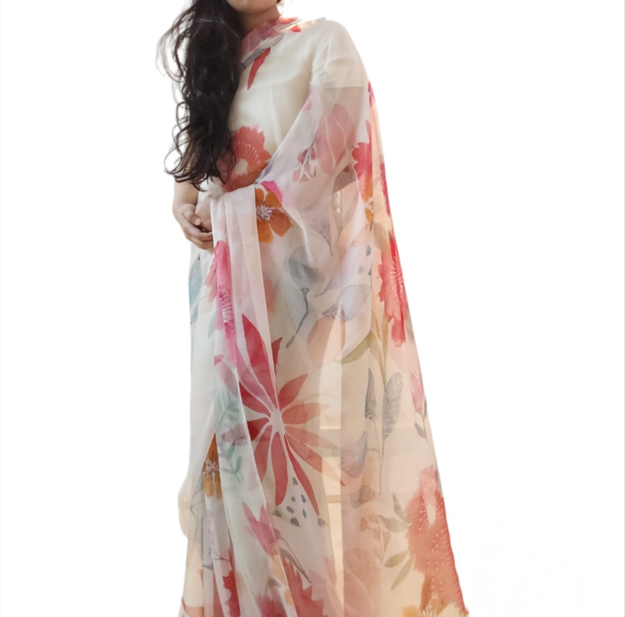 Colorful Chiffon Saree